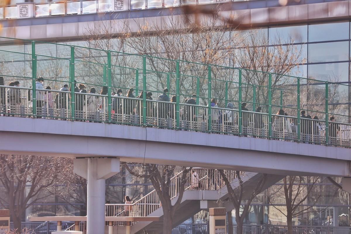 北京最新一轮限号的深度解析,一种观点的视角探讨