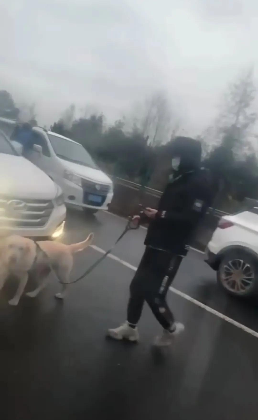 二广高速堵车最新消息,温馨旅程受阻的等待与希望