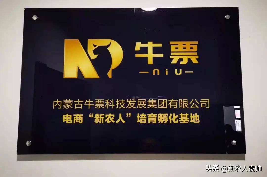 内蒙古养老金最新动态,科技助力未来养老新体验