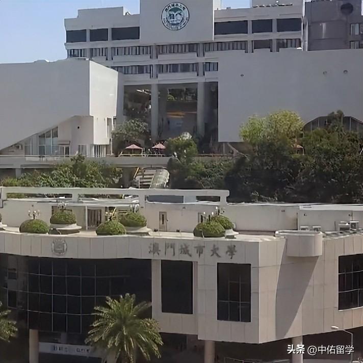 2024新澳门正版挂牌,高效运行支持_BLP87.854娱乐版