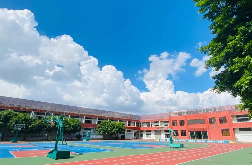 2024精准免费大全,数据评估设计_CQJ87.214外观版