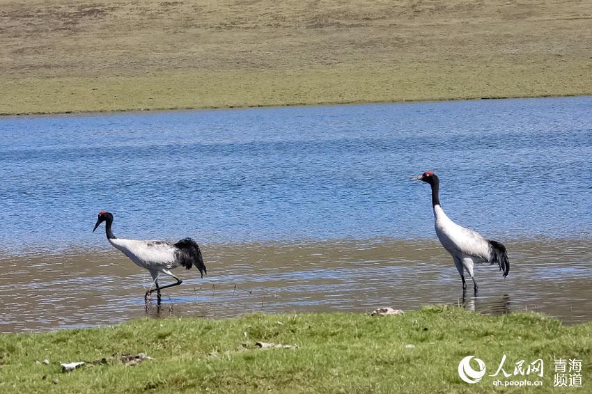 阿里云最新活动，开启云上自信成就之旅，与变化共舞