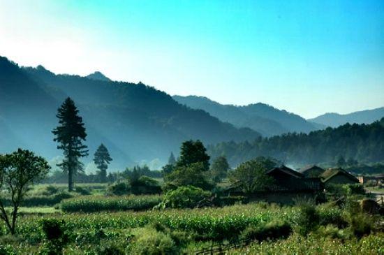 周至县最新房价报价,小城温情与家的呼唤