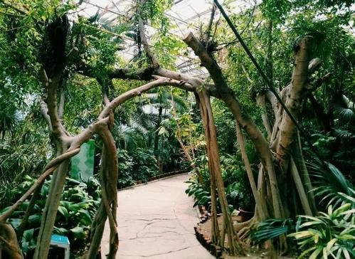 天津出租车最新价格,自然美景探索之旅启程