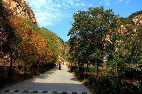 天津出租车最新价格,自然美景探索之旅启程