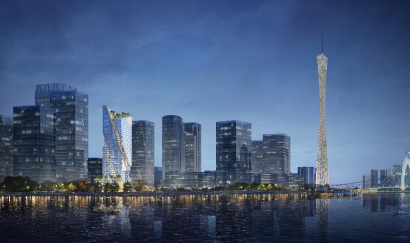 三七最新价格表 2024年,友情与生活交织的温情与趣味