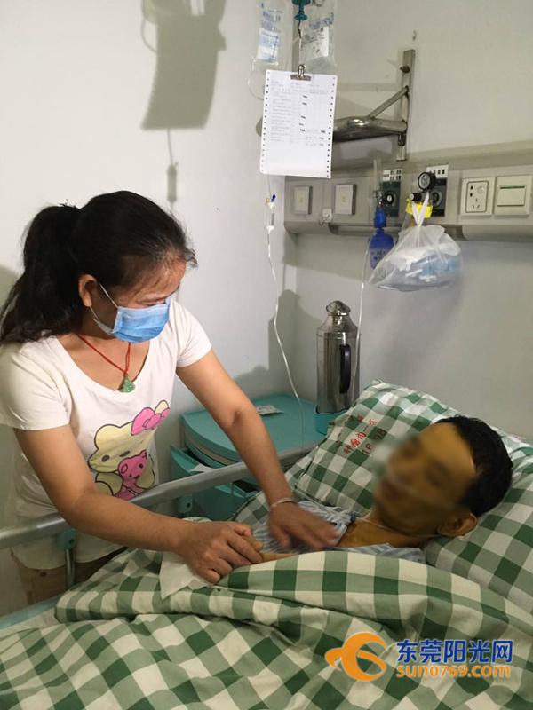 东莞年票欠费最新动态,缴费步骤指南及欠费消息更新