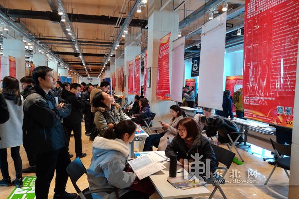 哈市人才市场最新招聘及小巷深处的独特风味