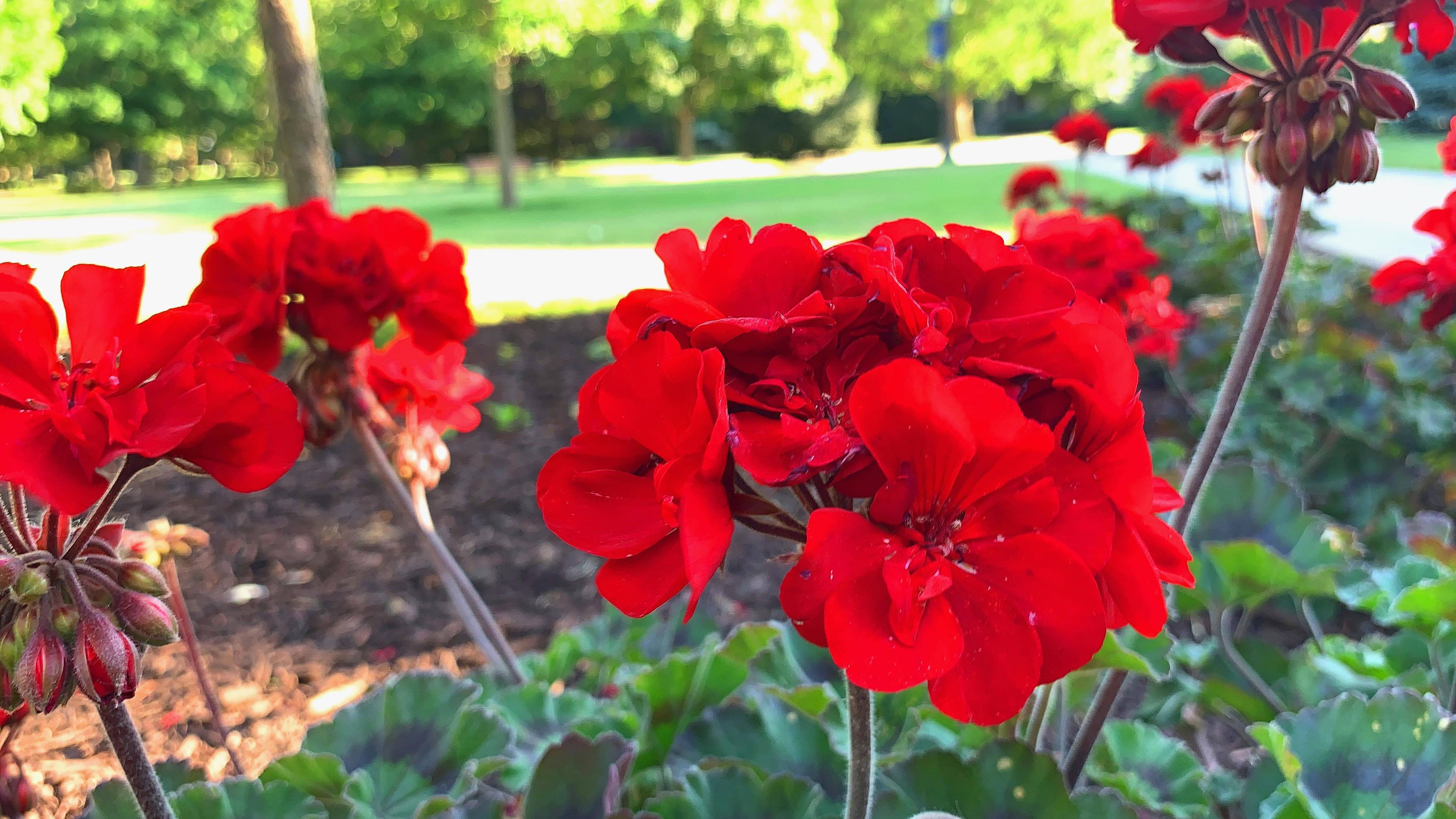 花园生物股票最新动态,变化带来自信与成就感展望