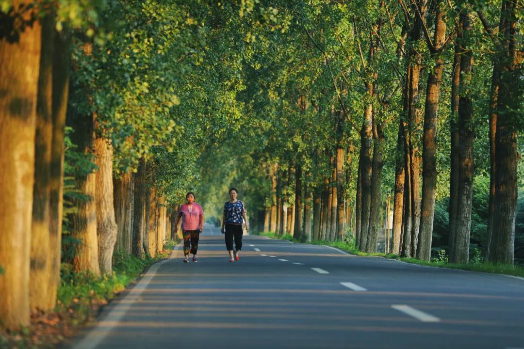 日升国际最新动态,小巷独特风味探秘