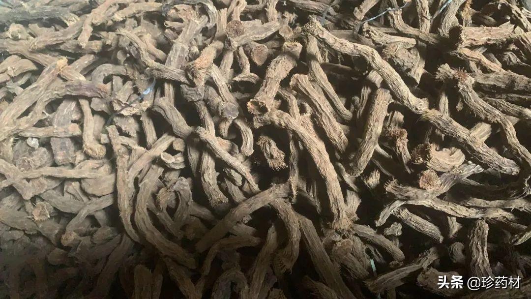 覆盆子最新价格及市场行情概览