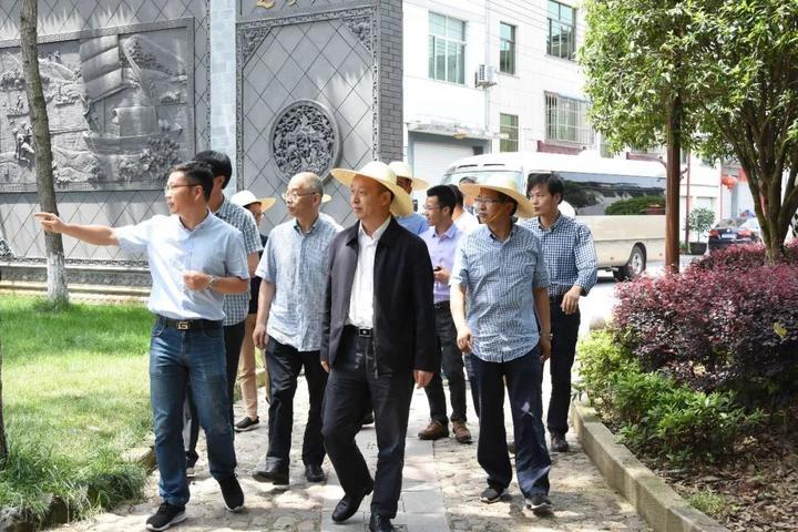 最新武义县委常委名单获取指南,初学者与进阶用户步骤详解