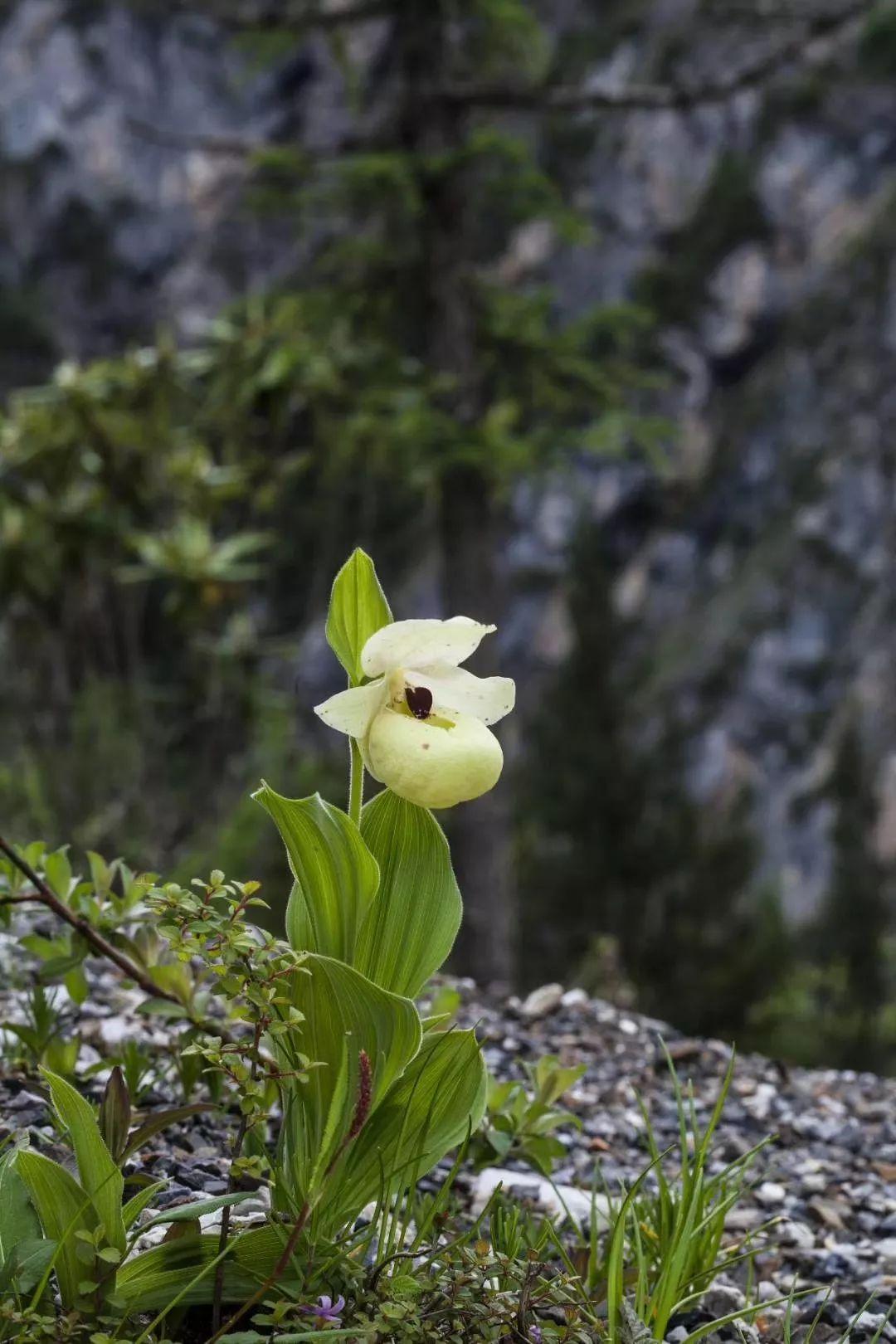 行吧有你最新地址及获取步骤指南