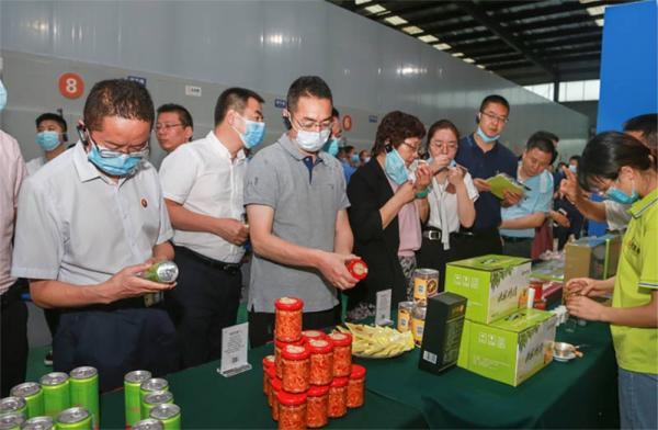 农房中央公园南浔最新探索，自然美景的沉浸式体验之旅